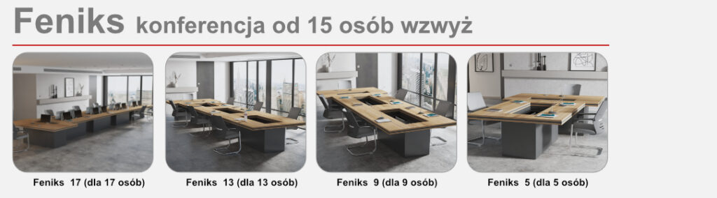 42_Feniks